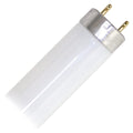 17 Watt 2 ft. T8 Fluorescent Tube L576254