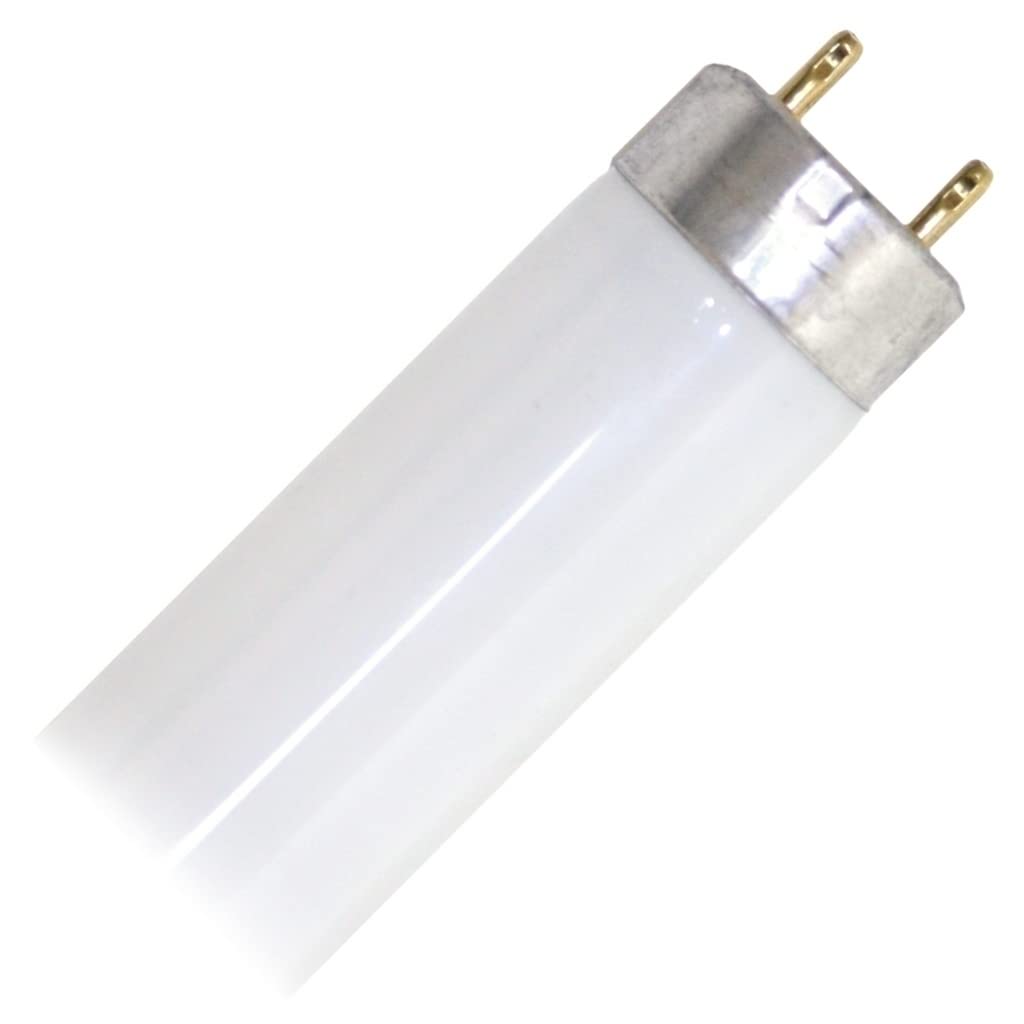 17 Watt 2 ft. T8 Fluorescent Tube L576254
