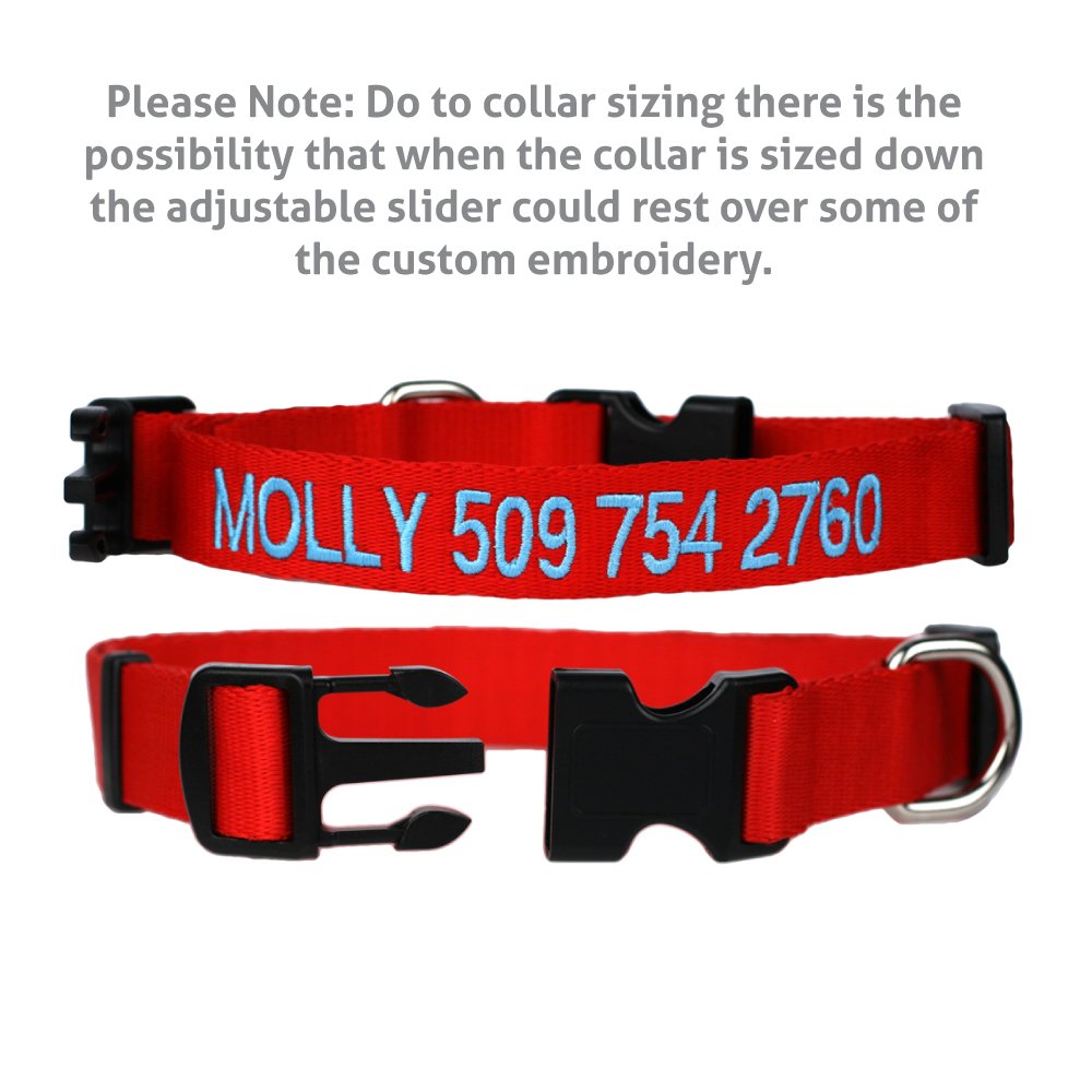 Personalized Dog Collar with Pet Name and Phone Number J681