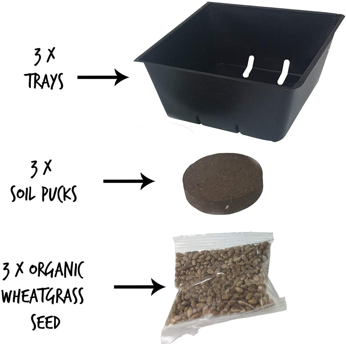 Organic Cat Grass Kit with 3 Trays O25051