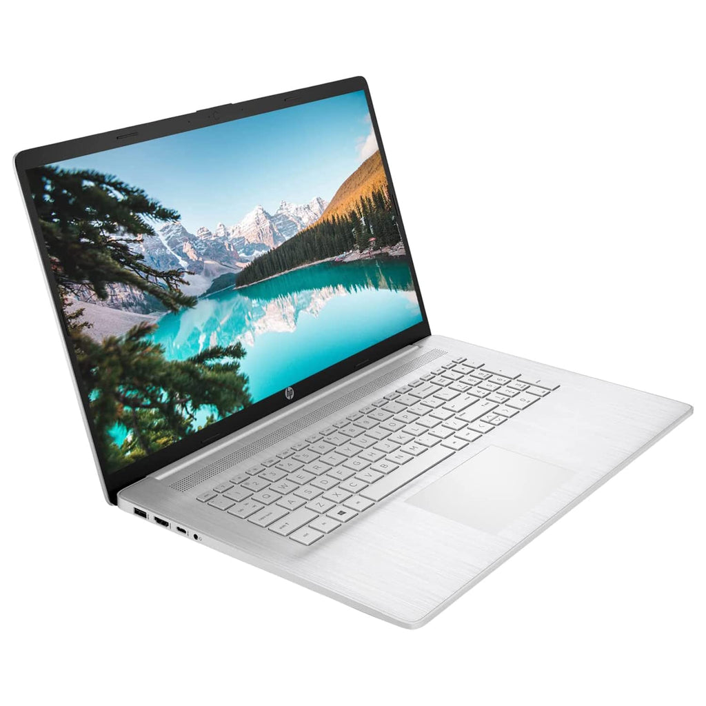 17.3'' Touchscreen Laptop, 16GB RAM, 1TB SSD, Silver C86551