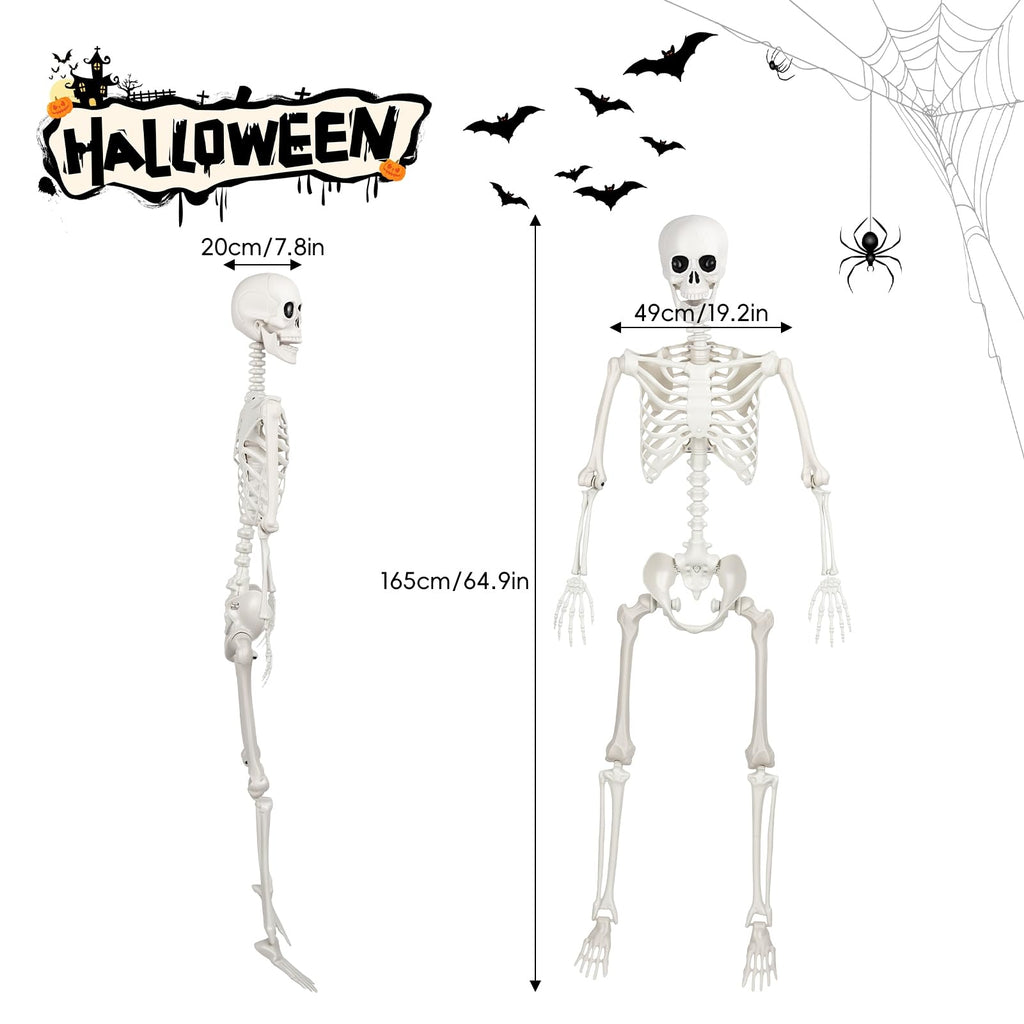 Poseable Life Size Skeleton I144