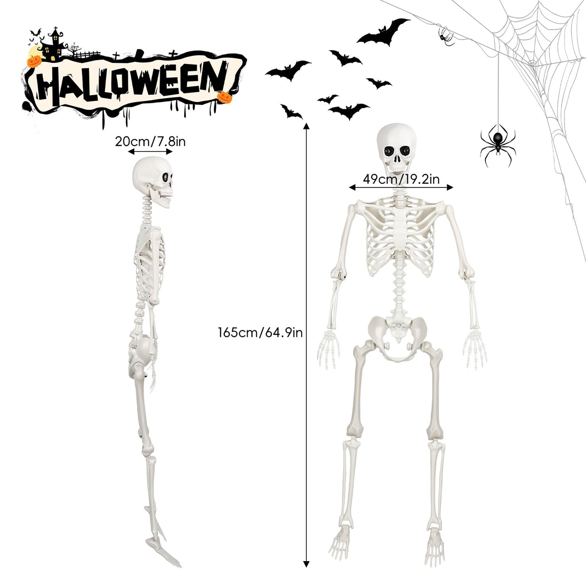 Poseable Life Size Skeleton I144