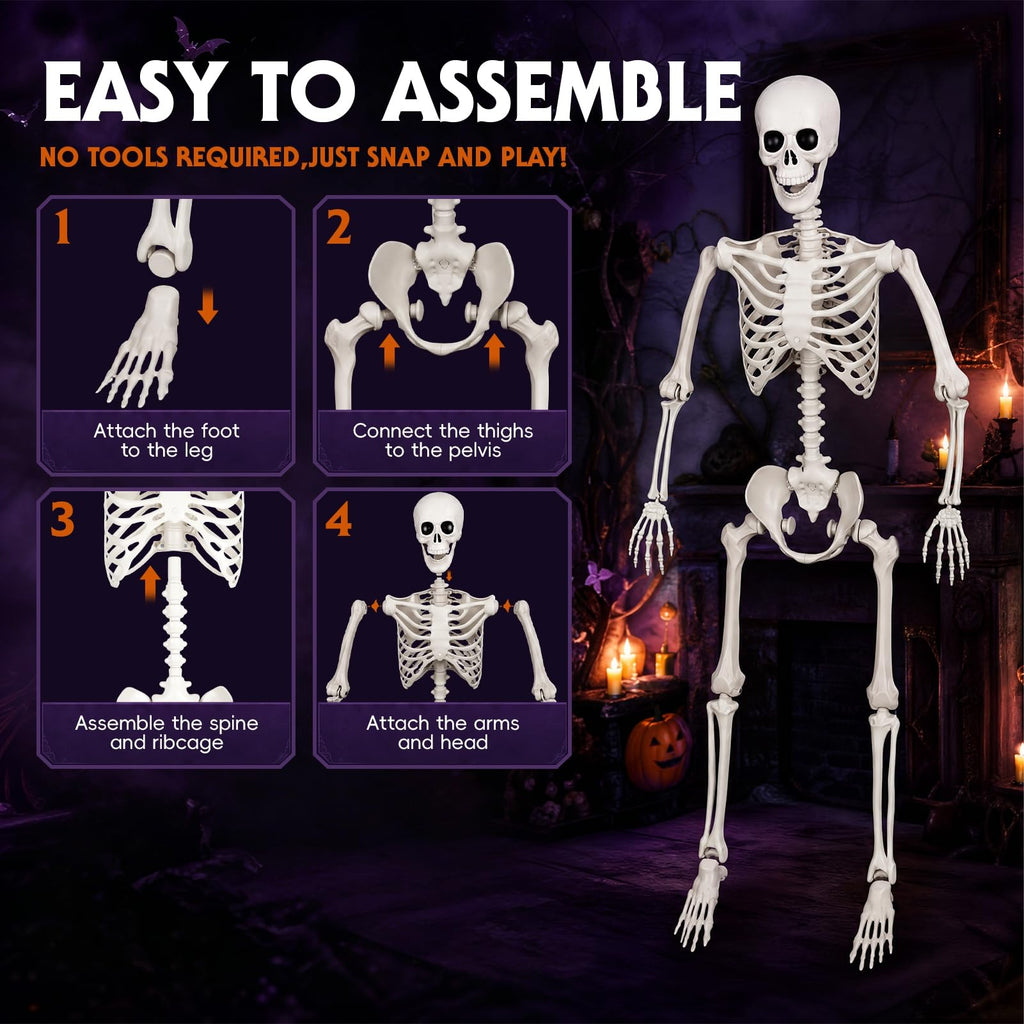 Poseable Life Size Skeleton I144