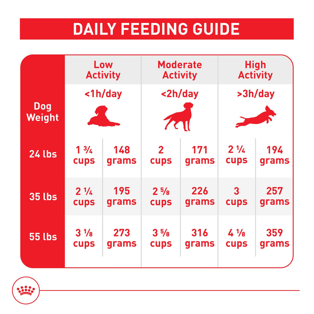 Medium Adult Dry Dog Food, 17 lb Bag C606