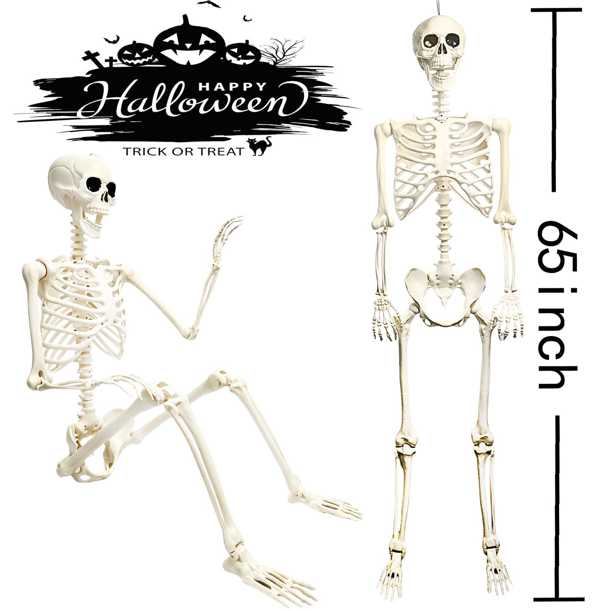 5.4FT Posable Halloween Skeleton with Movable Joints L30578