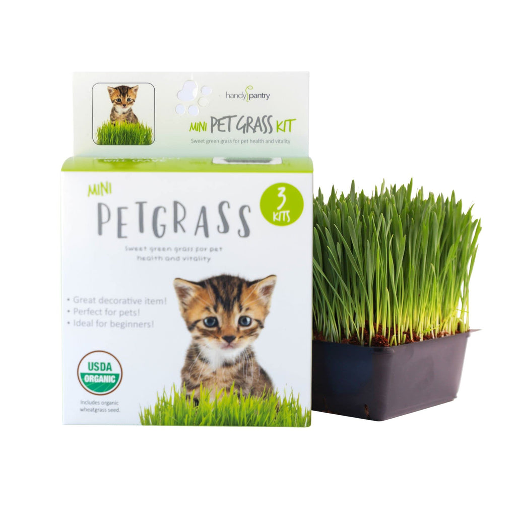 Organic Cat Grass Kit with 3 Trays O25051