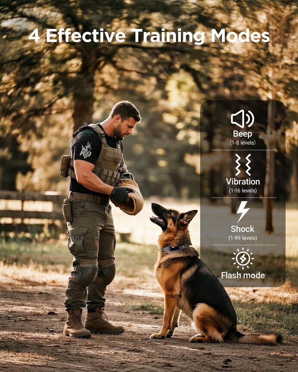 2 Dogs Dog Training Collar with Remote, 4 Training Modes, IP67 Waterproof O993