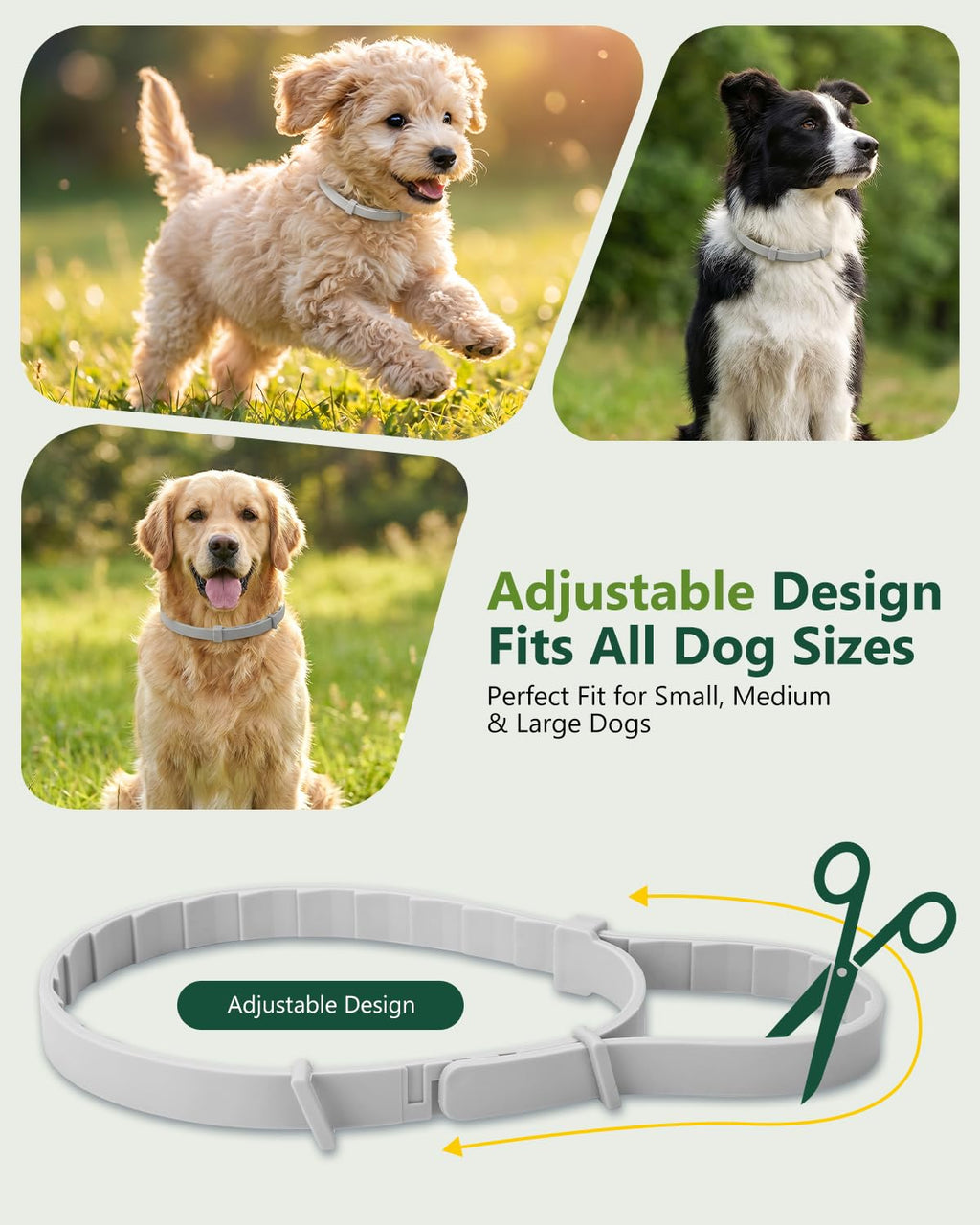 4 Pack Adjustable Waterproof Flea & Tick Dog Collar E430102
