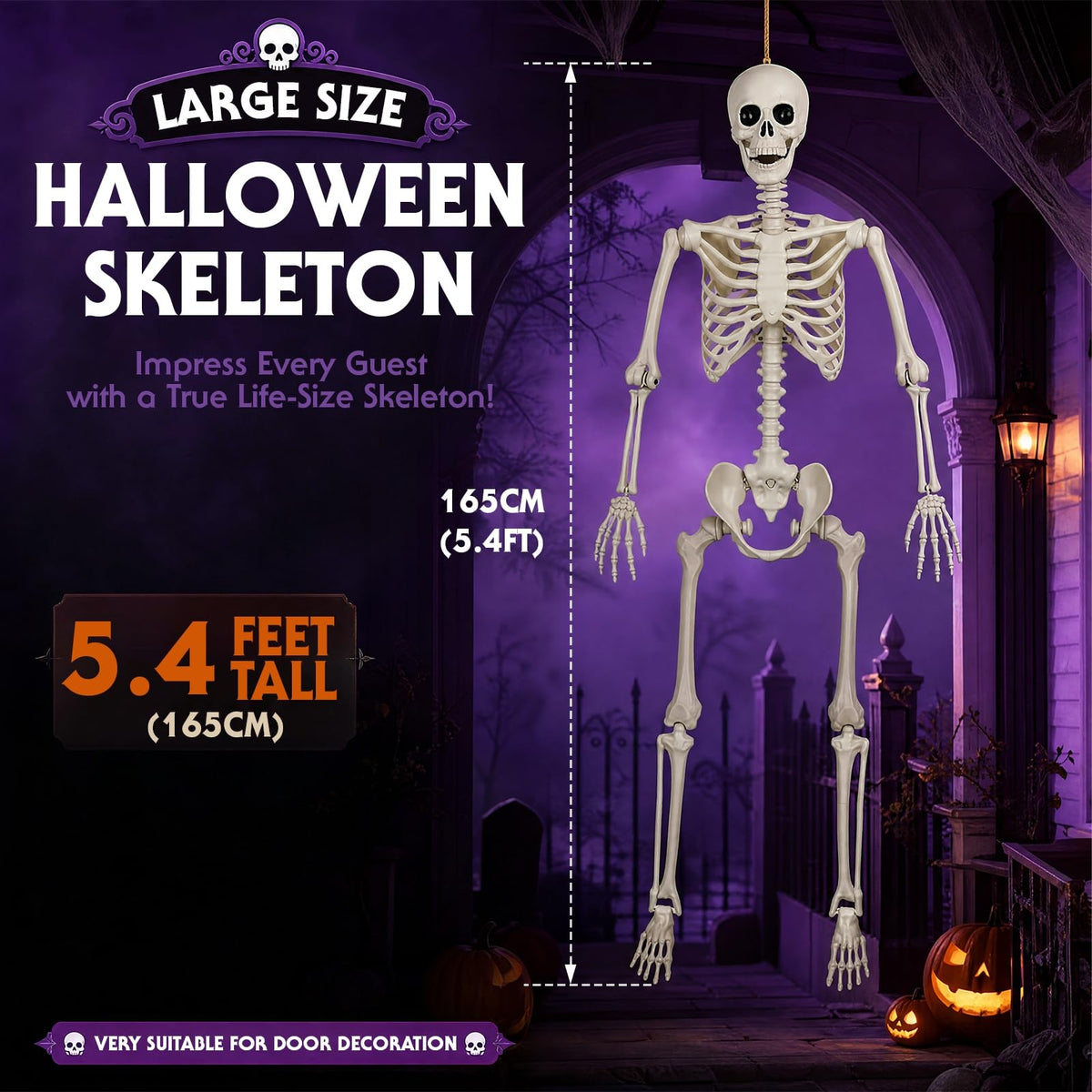 Poseable Life Size Skeleton I144