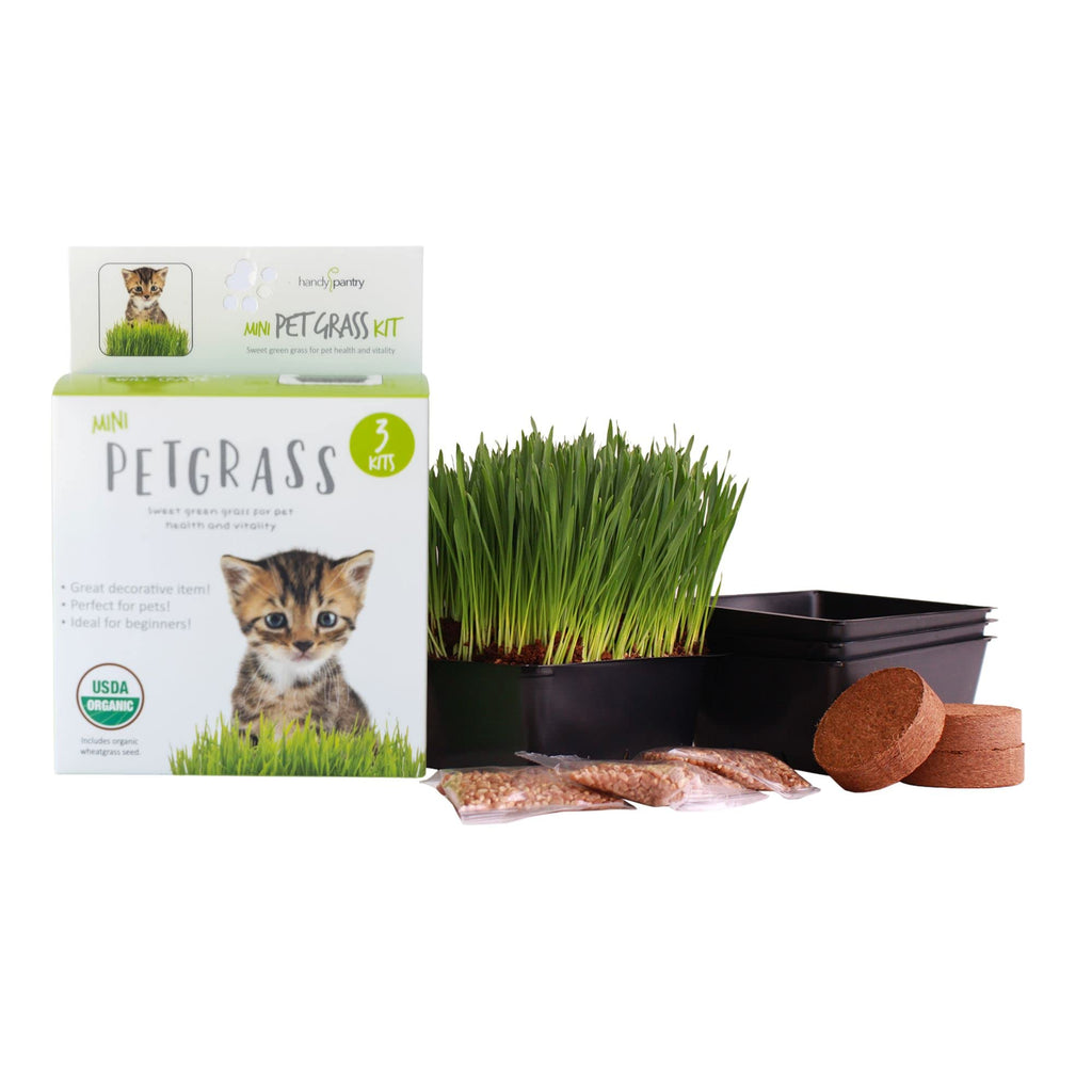 Organic Cat Grass Kit with 3 Trays O25051