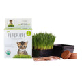 Organic Cat Grass Kit with 3 Trays O25051
