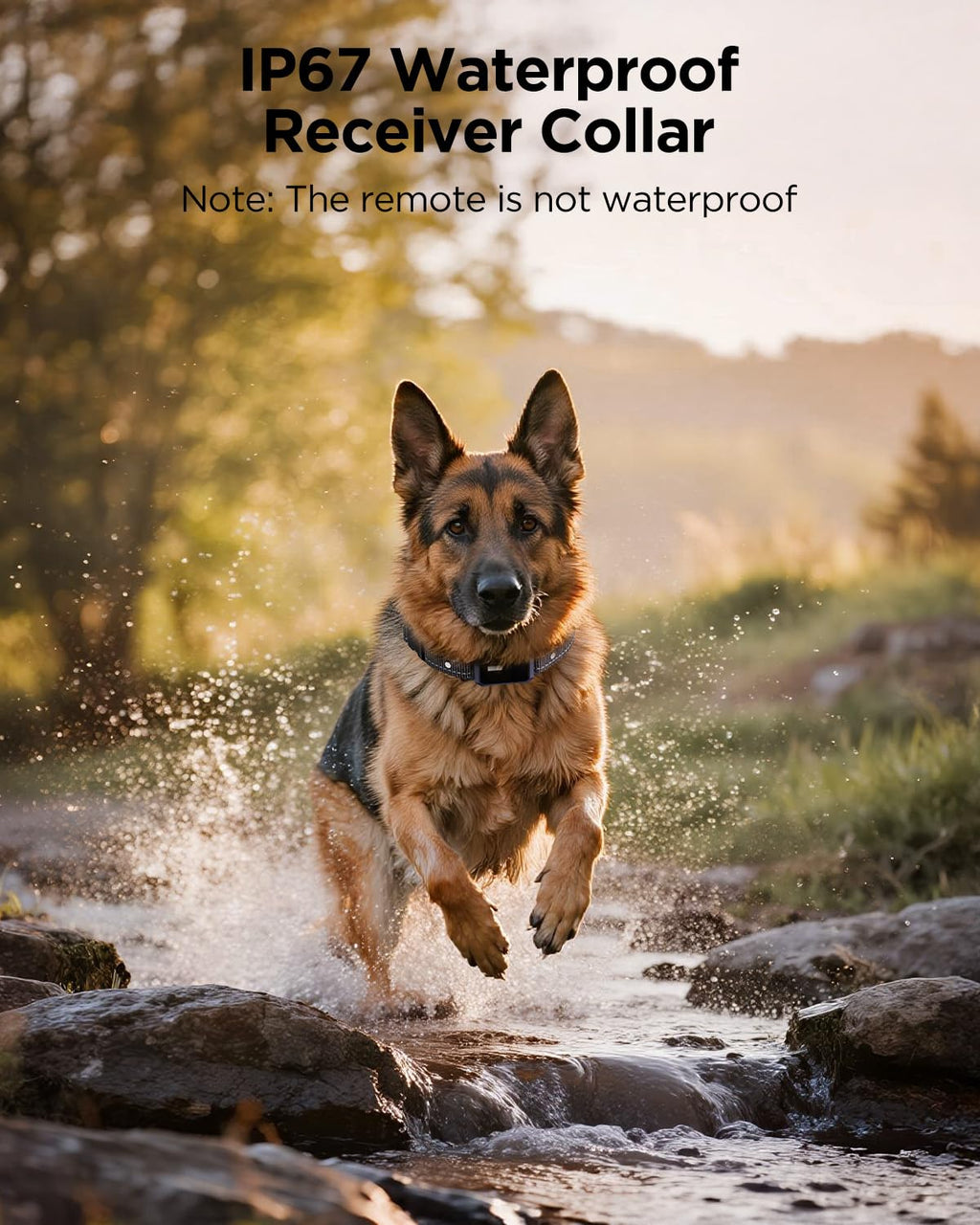 2 Dogs Dog Training Collar with Remote, 4 Training Modes, IP67 Waterproof O993