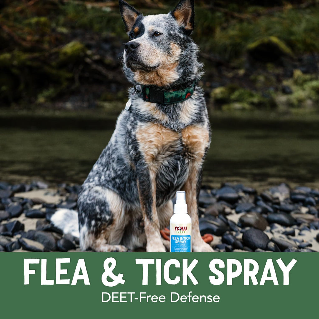Flea and Tick Spray for Dogs 8-Ounce L114452