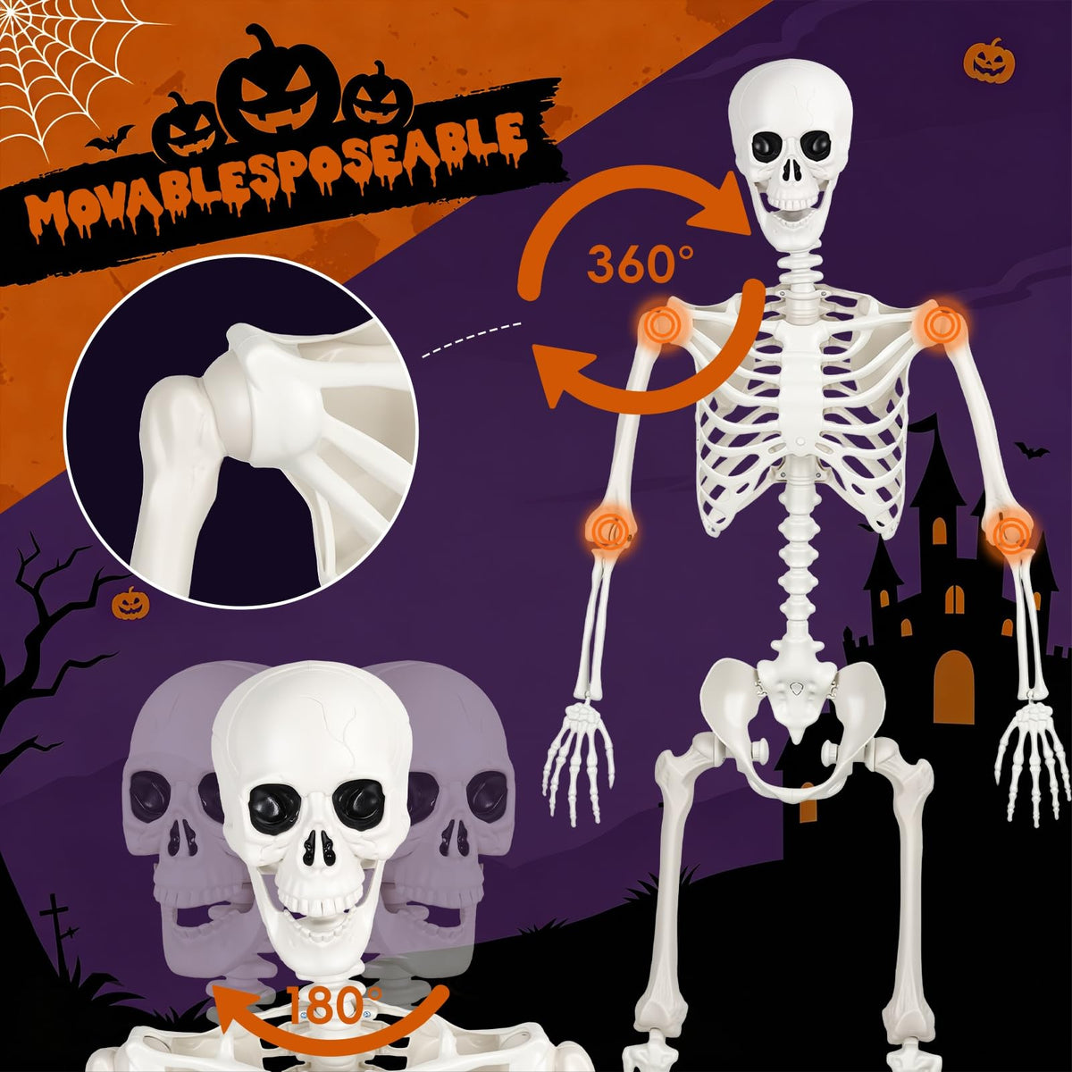 Poseable Life Size Skeleton I144