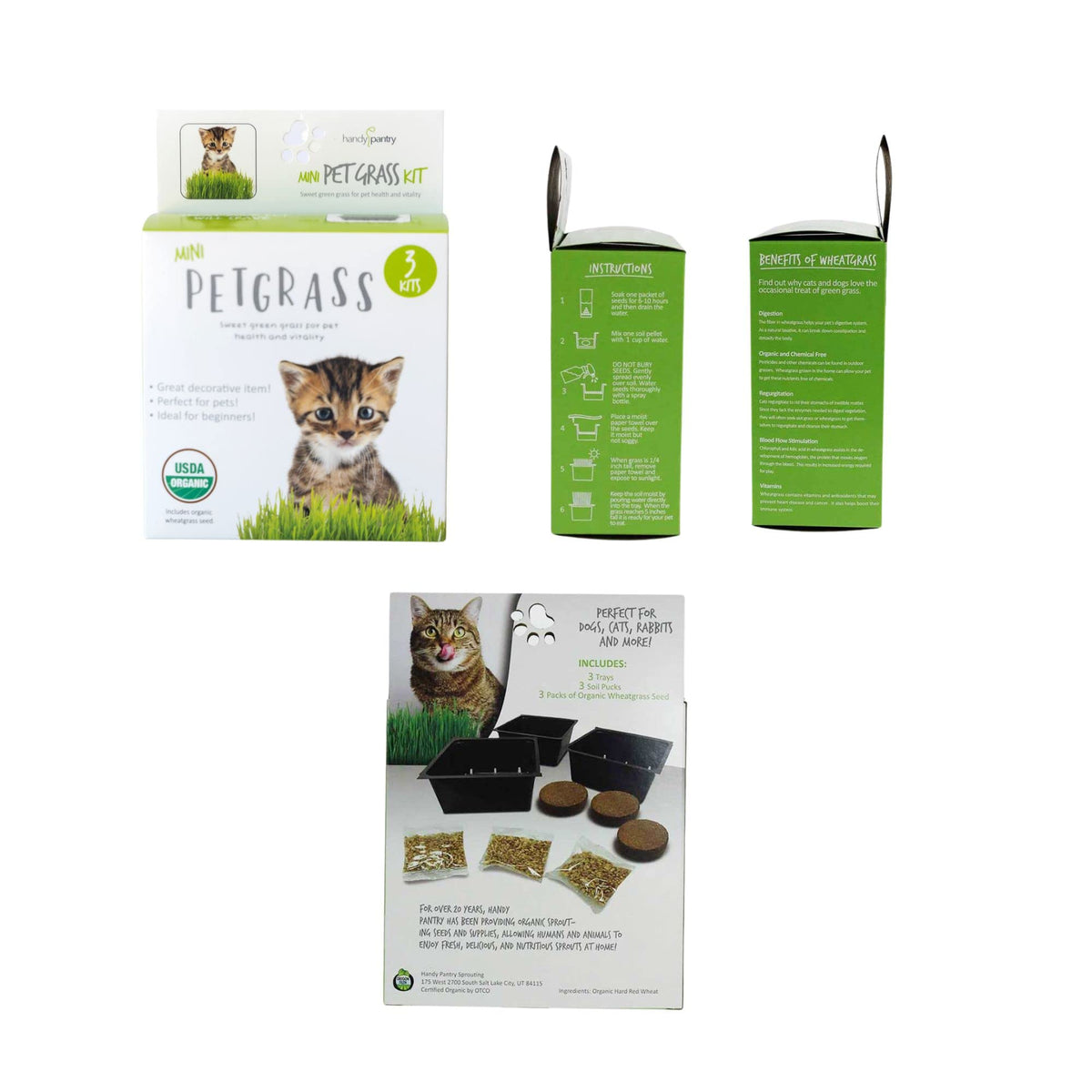 Organic Cat Grass Kit with 3 Trays O25051