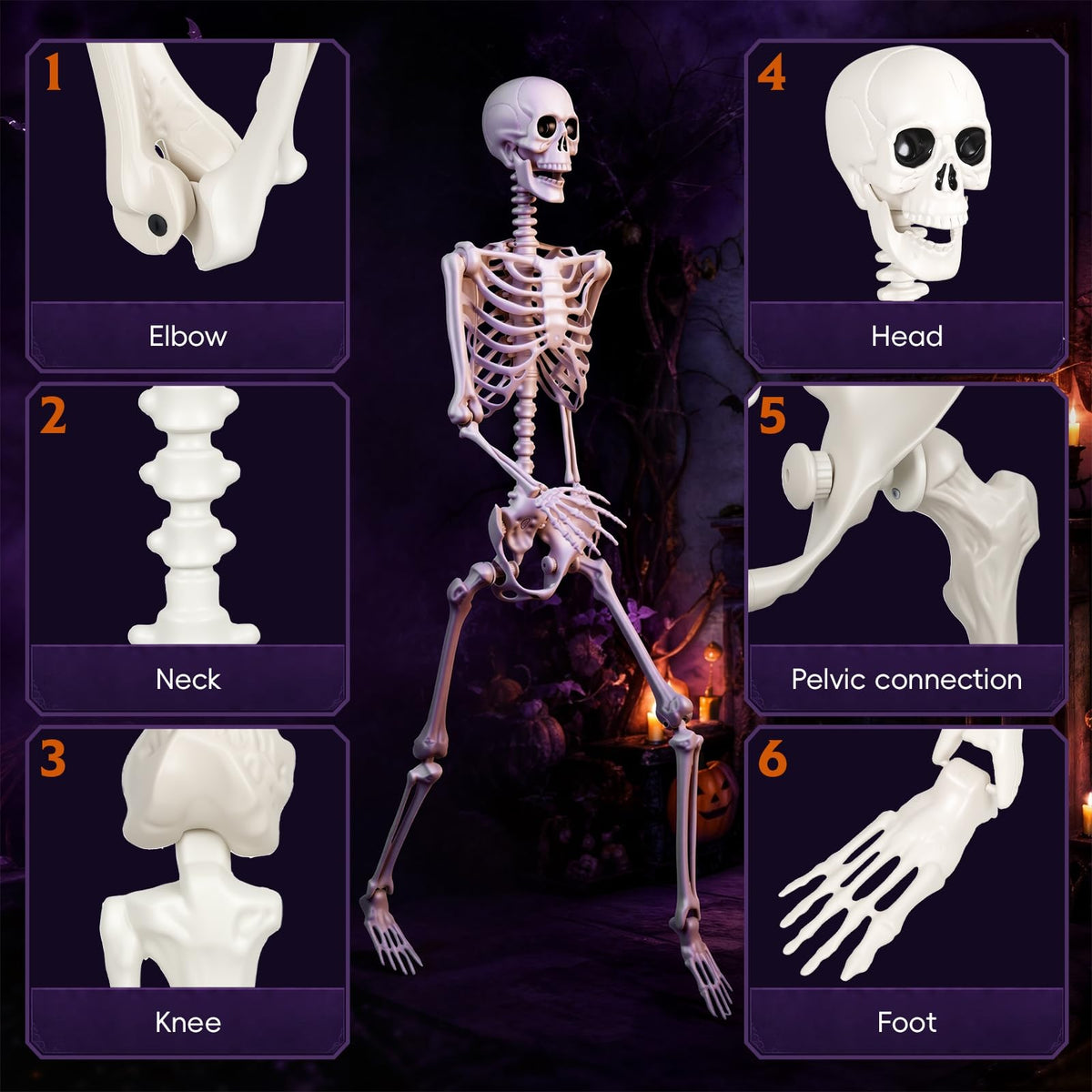 Poseable Life Size Skeleton I144