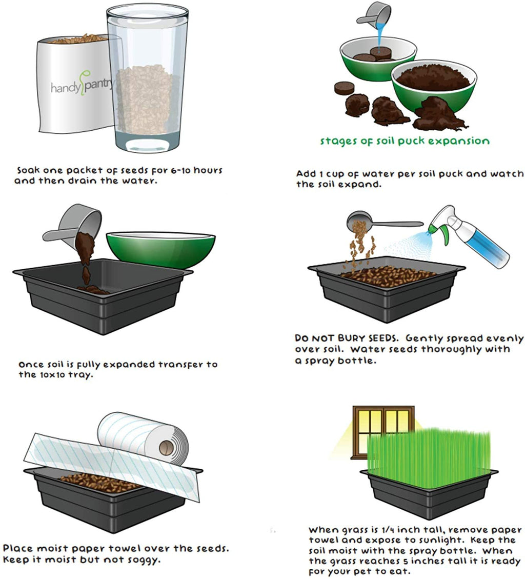 Organic Cat Grass Kit with 3 Trays O25051