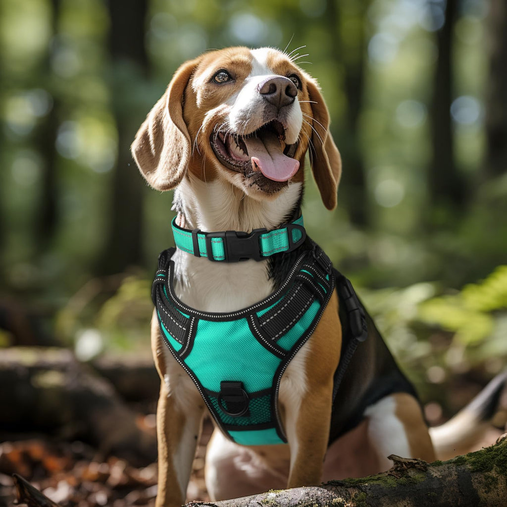Reflective Adjustable Neoprene Padded Dog Collar C367