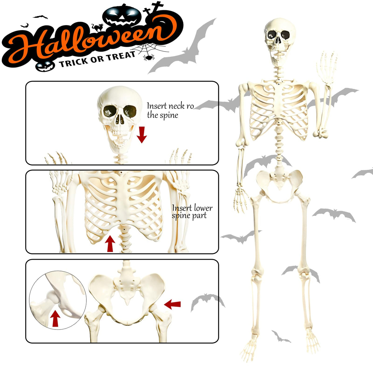 5.4FT Posable Halloween Skeleton with Movable Joints L30578