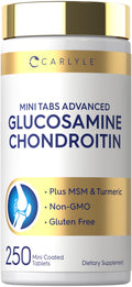 Glucosamine Chondroitin MSM 250 Mini Tablets R65131