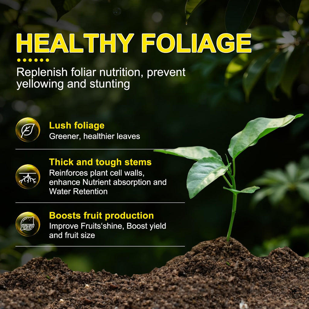 Liquid Fertilizer with Organic Micro-Nutrient C32902