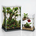 2 Pack Rimless Glass Aquarium Set J49474