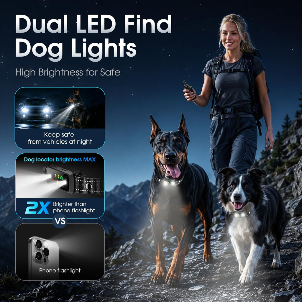 2 Dogs Waterproof Dog Training Collar with Remote Z681929