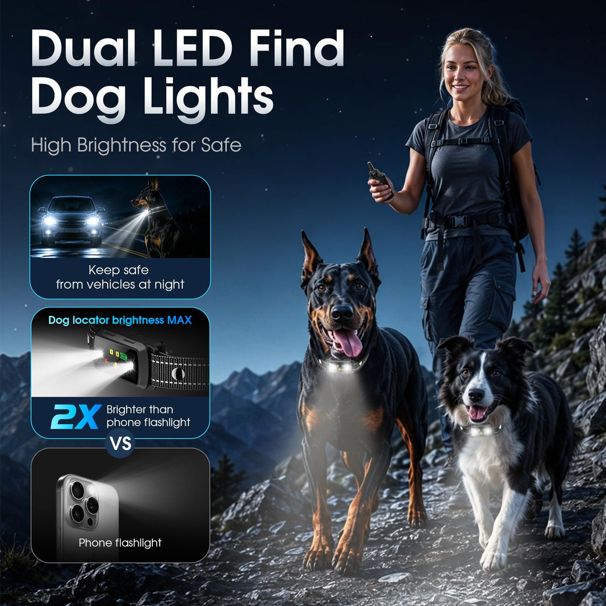2 Dogs Waterproof Dog Training Collar with Remote Z681929