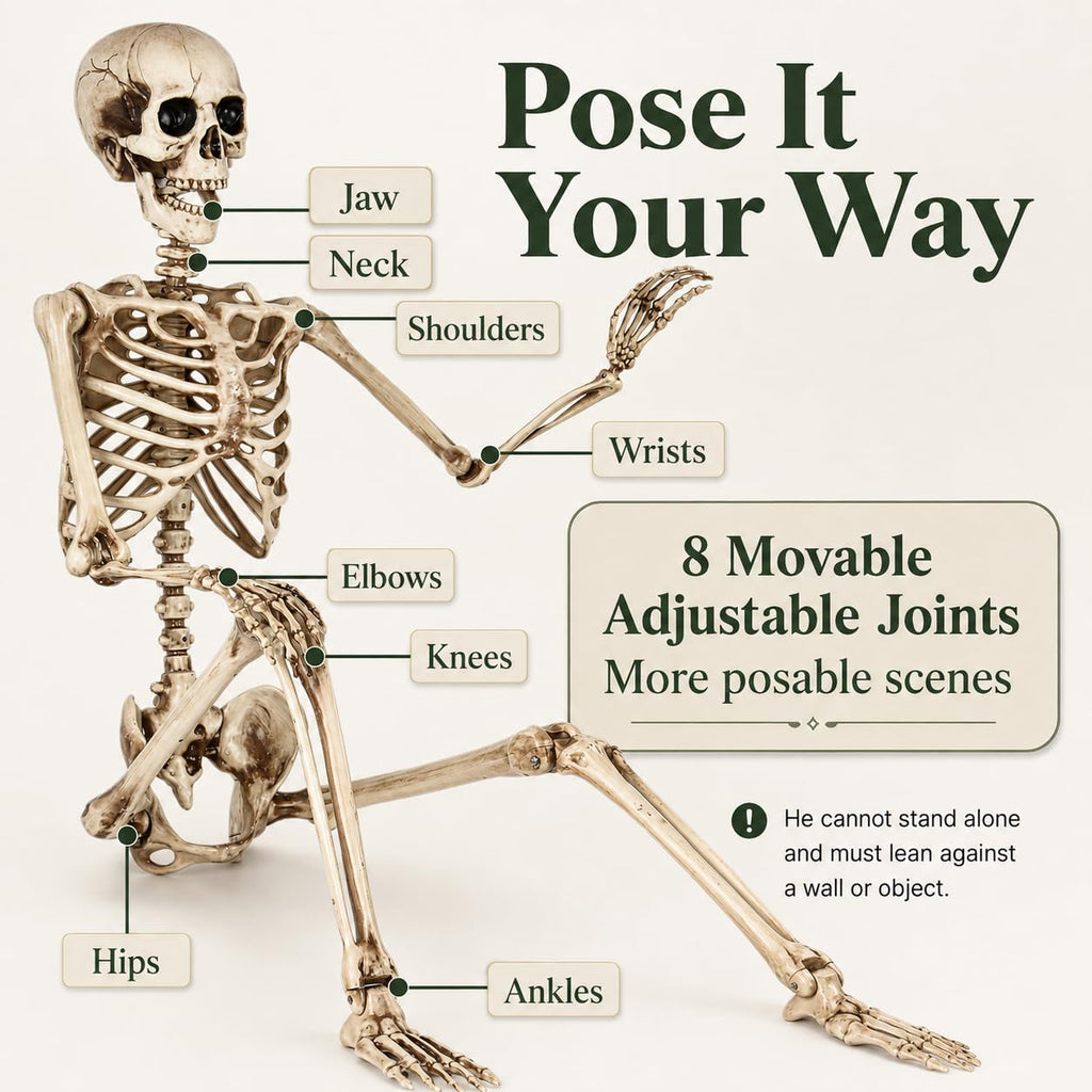 5.4 Ft Life Size Posable Skeleton Q43509