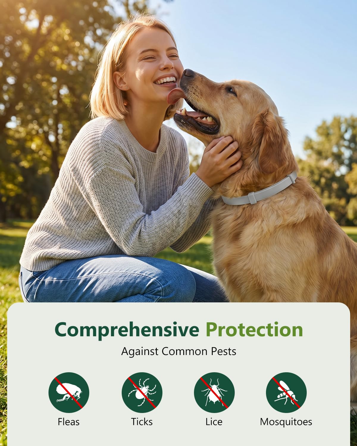 4 Pack Adjustable Waterproof Flea & Tick Dog Collar E430102