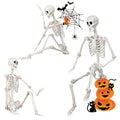 Poseable Life Size Skeleton I144