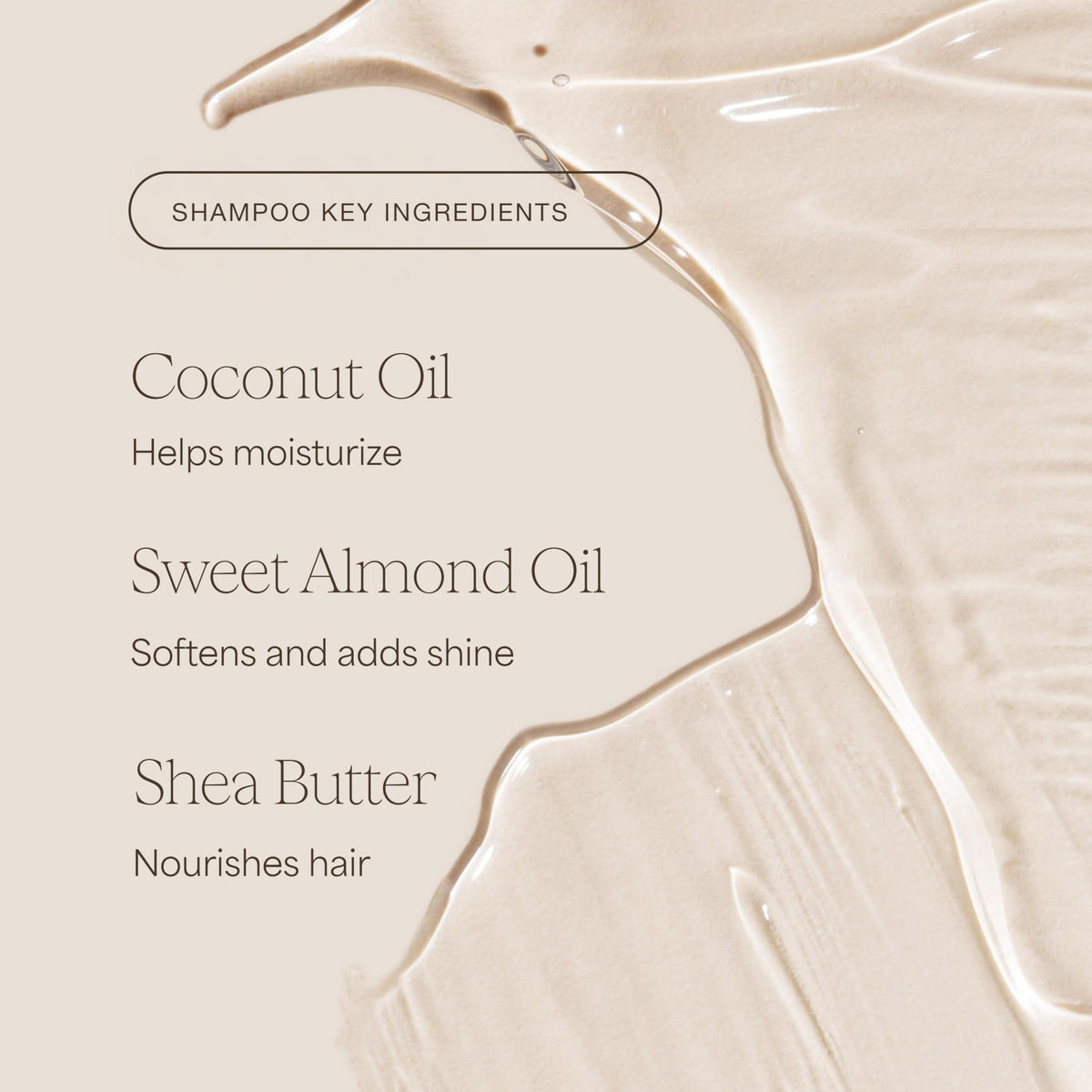 Shampoo and Conditioner Duo, 16 Fl Oz Each D7090