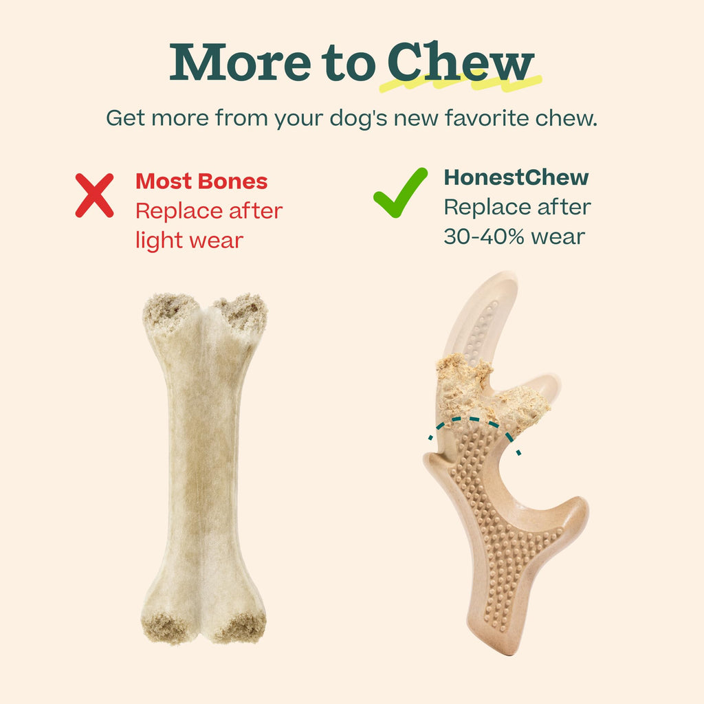Antler Dog Chew Toy O230307