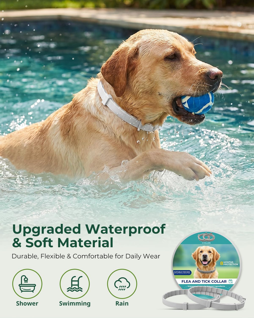 4 Pack Adjustable Waterproof Flea & Tick Dog Collar E430102
