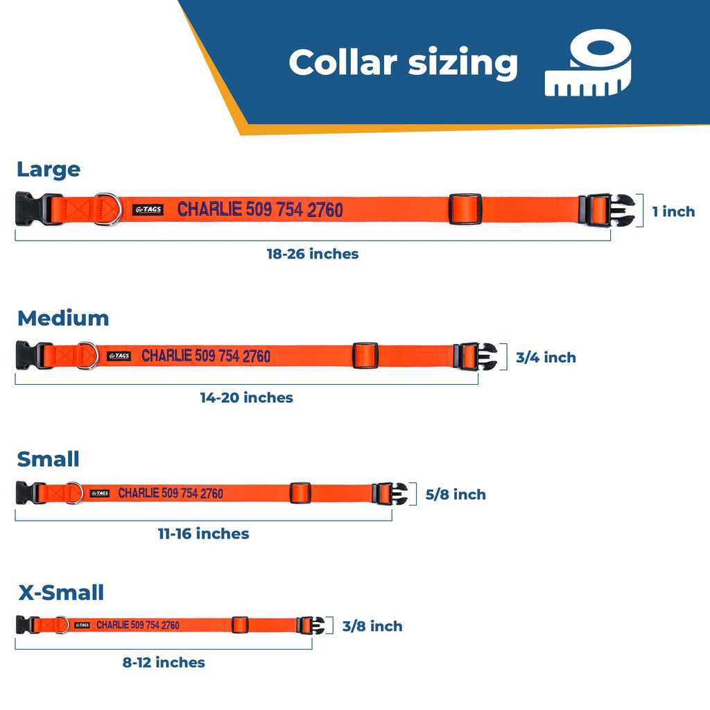 Personalized Dog Collar with Pet Name and Phone Number J681