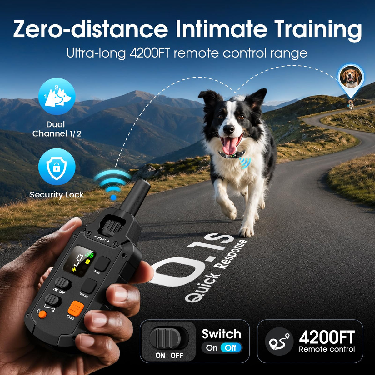 2 Dogs Waterproof Dog Training Collar with Remote Z681929