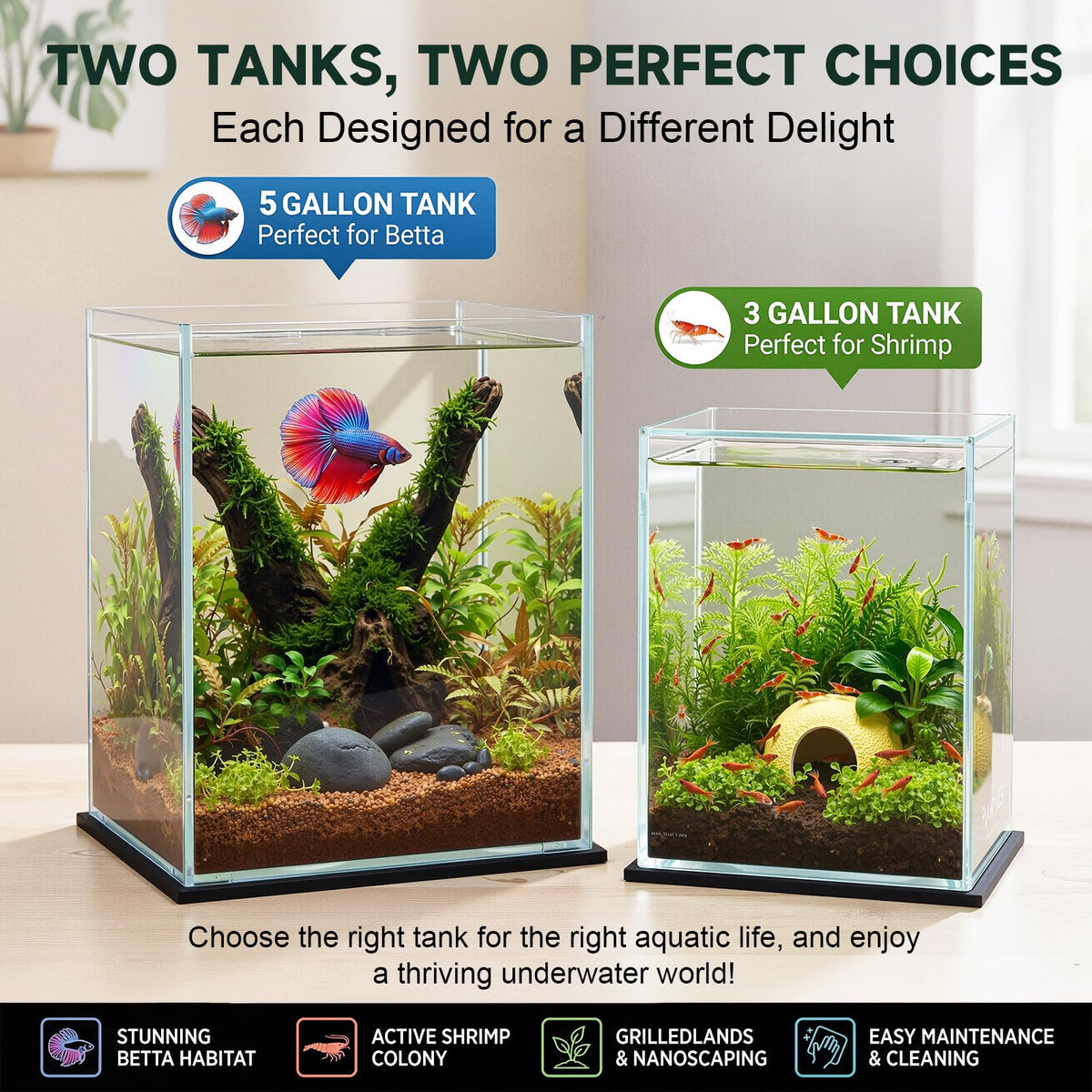 2 Pack Rimless Glass Aquarium Set J49474