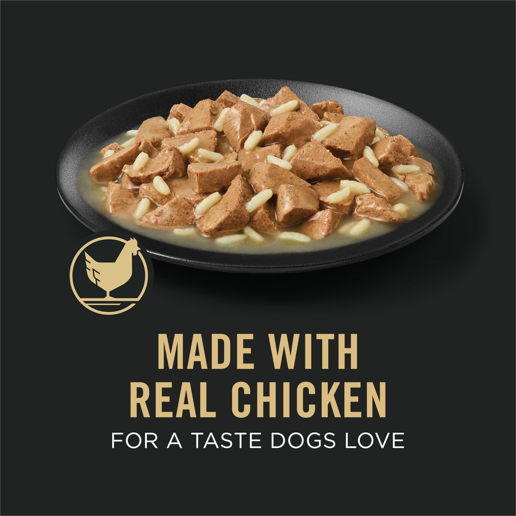 Chicken Gravy Wet Dog Food 13 oz A7587