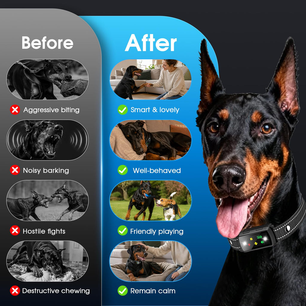 2 Dogs Waterproof Dog Training Collar with Remote Z681929