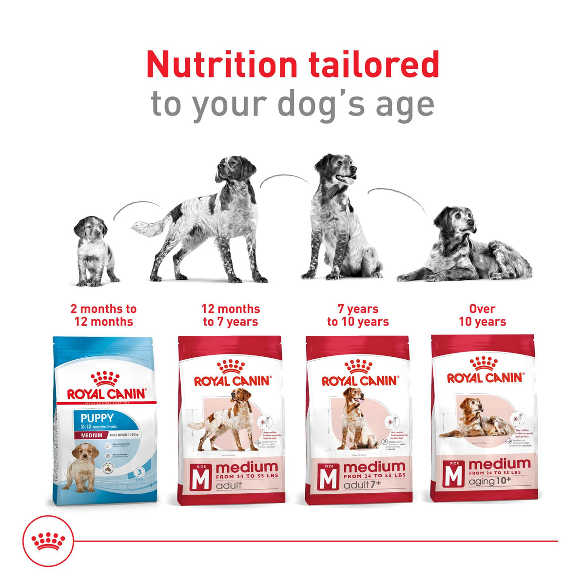 Medium Adult Dry Dog Food, 17 lb Bag C606