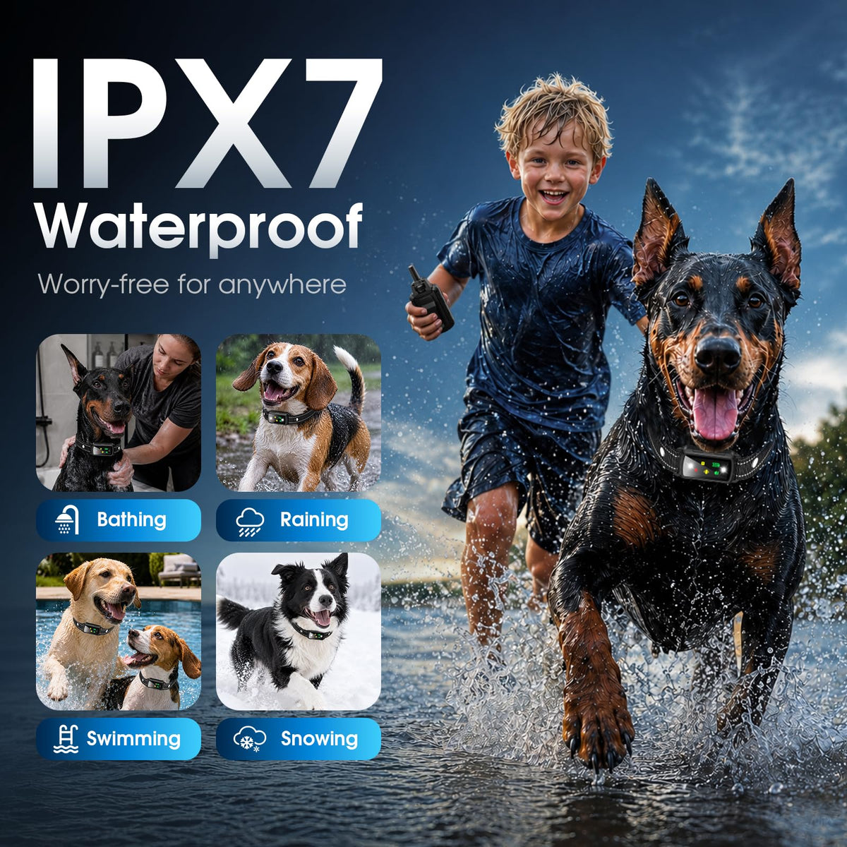 2 Dogs Waterproof Dog Training Collar with Remote Z681929