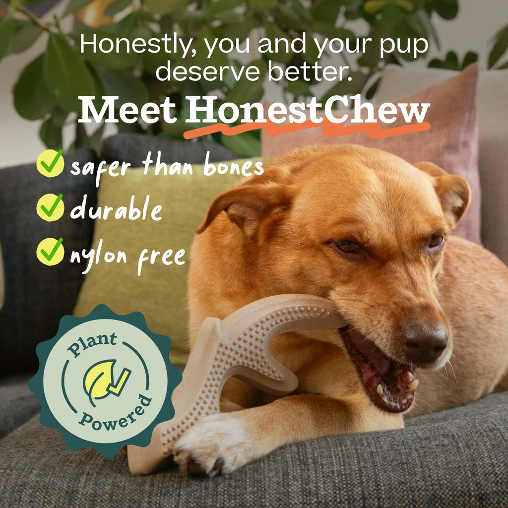 Antler Dog Chew Toy O230307
