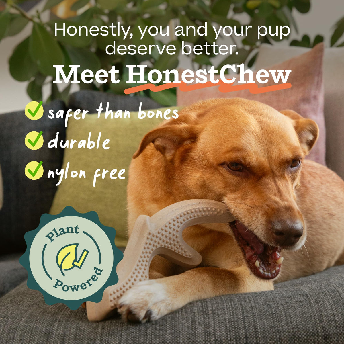 Antler Dog Chew Toy O230307