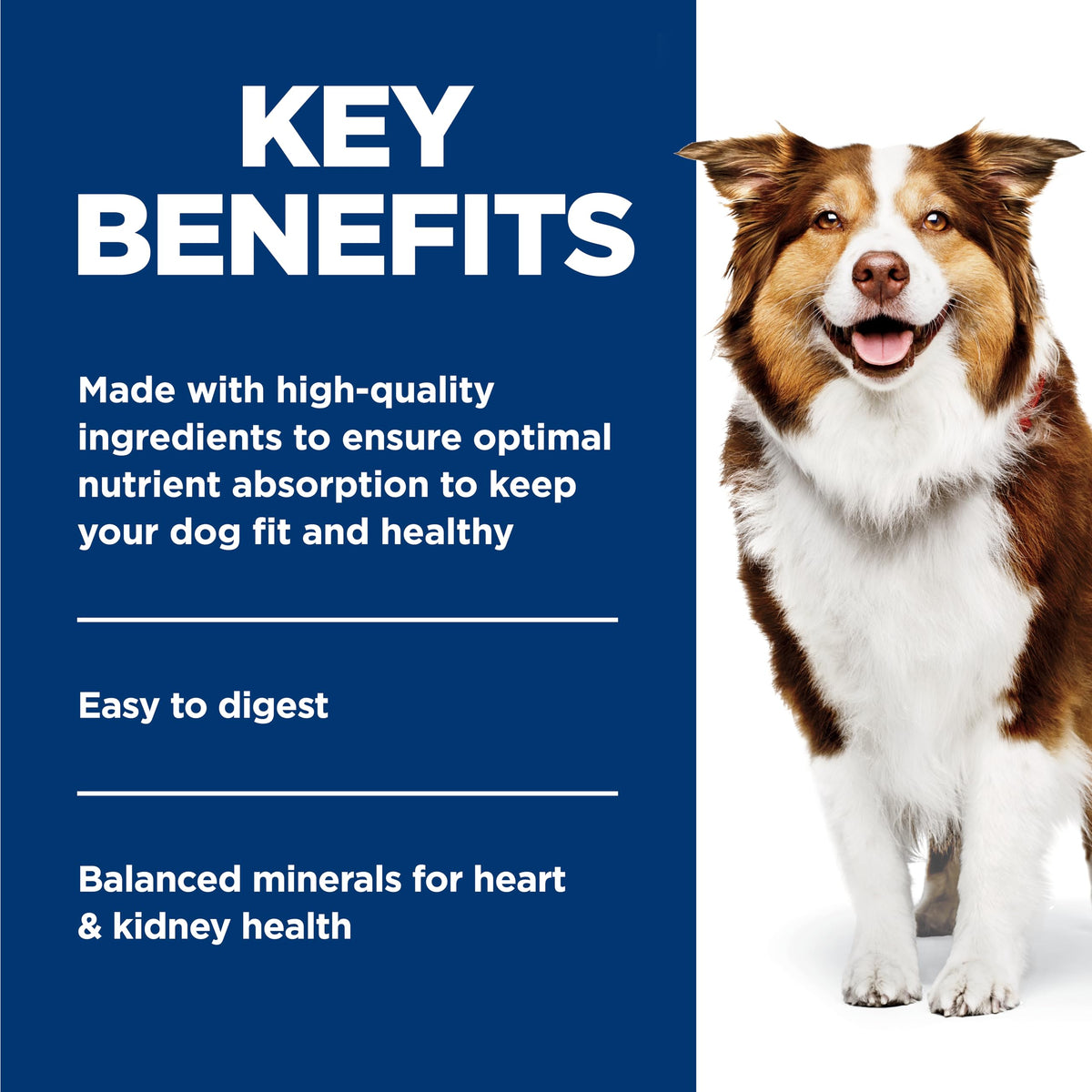 Wet Dog Food E7400