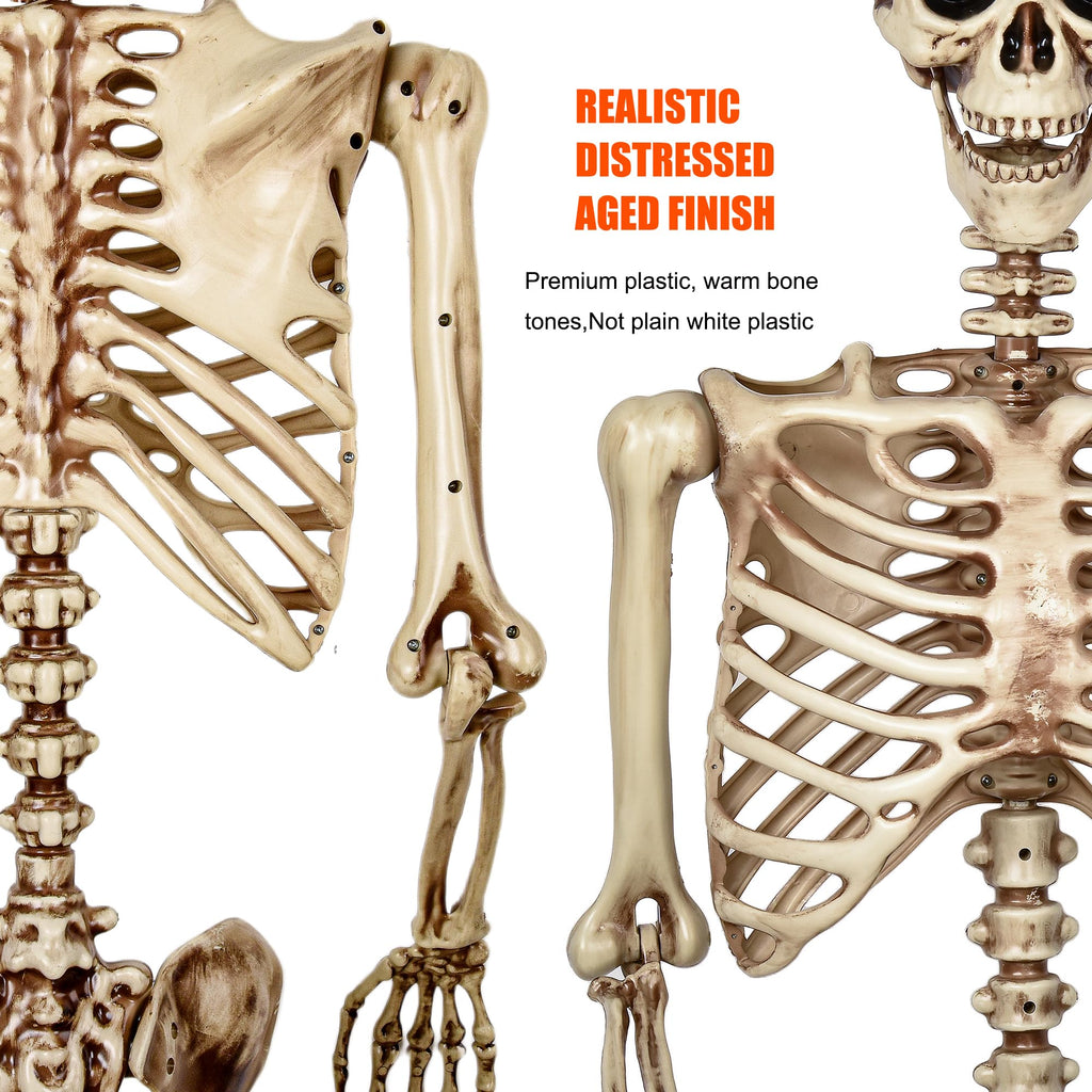 5.4 Ft Life Size Posable Skeleton Q43509