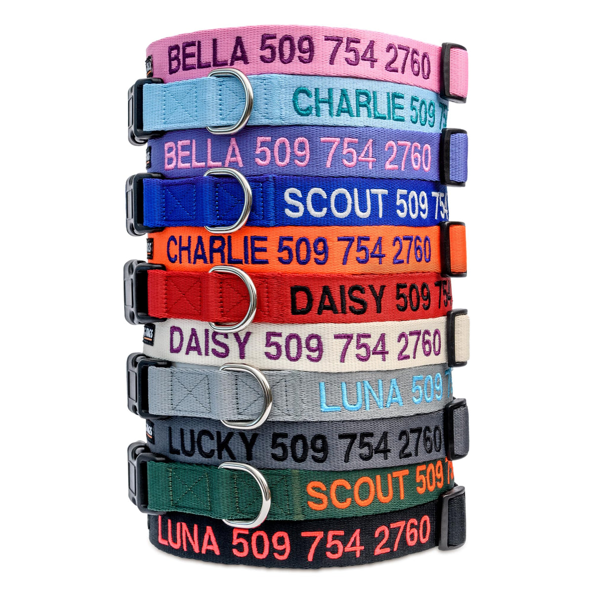 Personalized Dog Collar with Pet Name and Phone Number J681