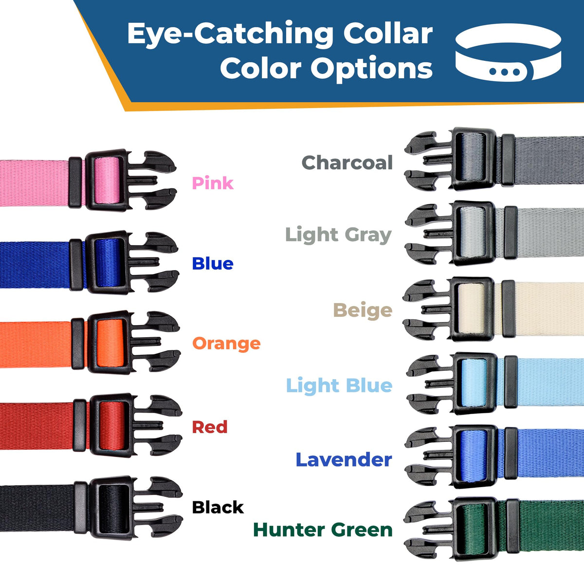 Personalized Dog Collar with Pet Name and Phone Number J681