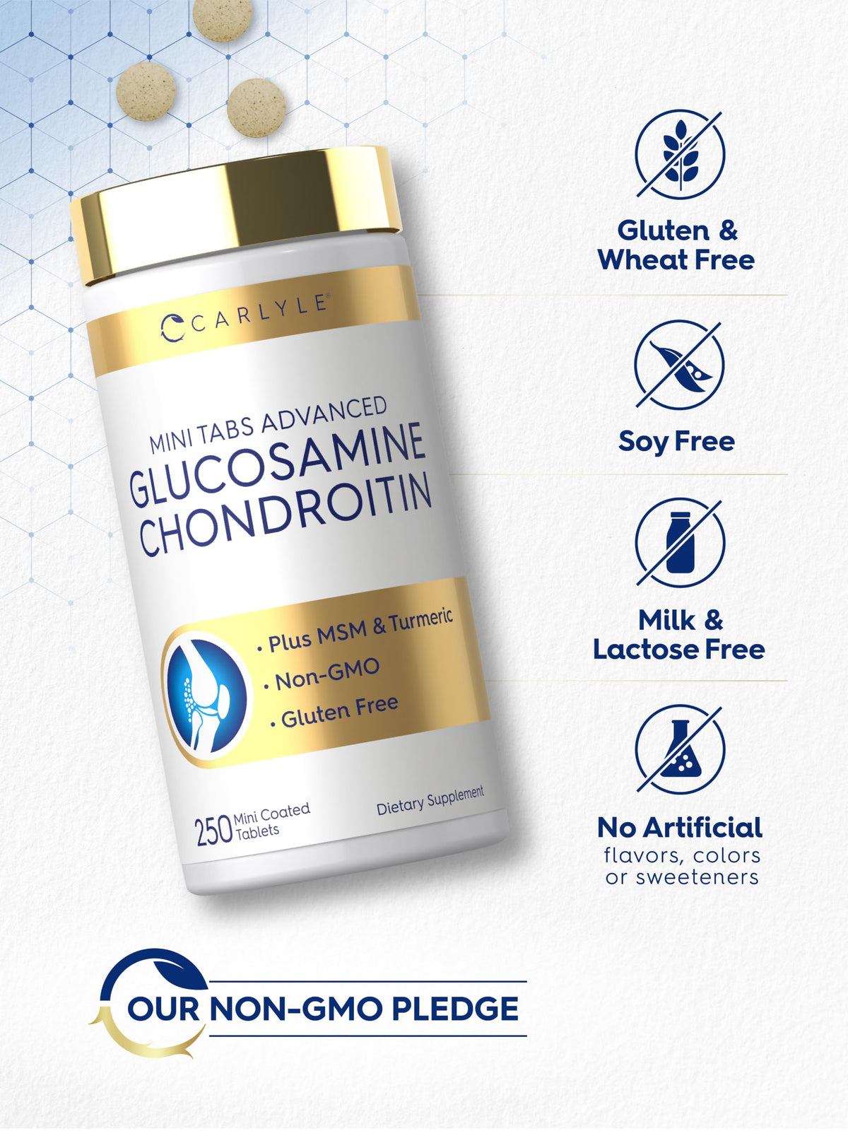 Glucosamine Chondroitin MSM 250 Mini Tablets R65131