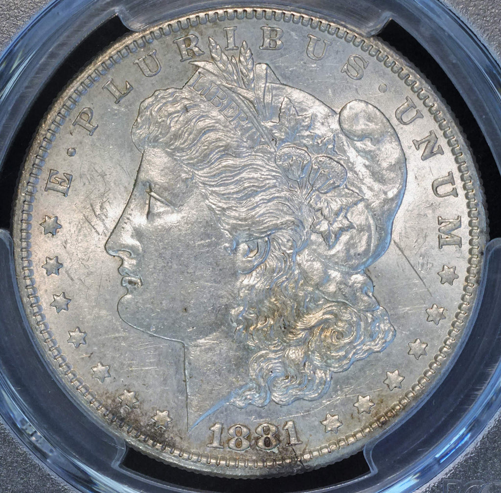 Morgan Silver Dollar $1 A550
